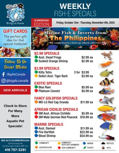 Big Al's (Scarborough) Weekly Specials October 31 to November 6