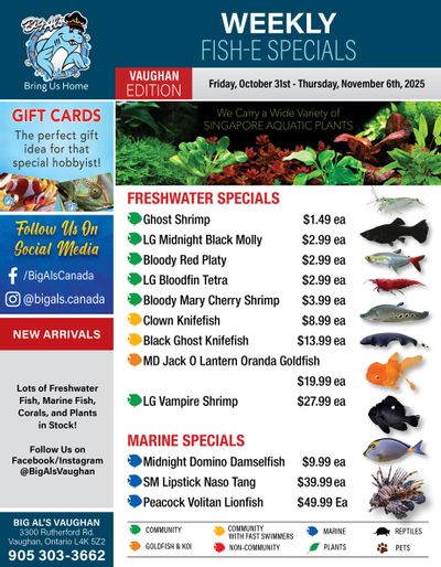Big Al's (Vaughan) Weekly Specials October 31 to November 6