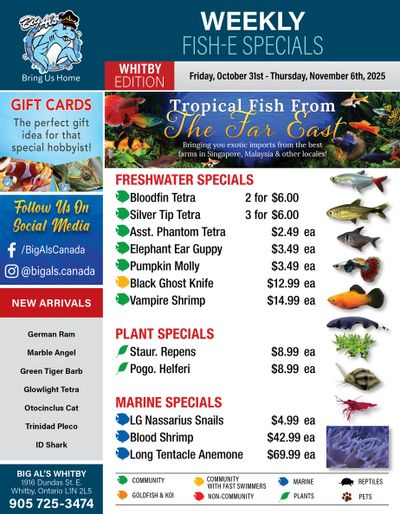 Big Al's (Whitby) Weekly Specials October 31 to November 6