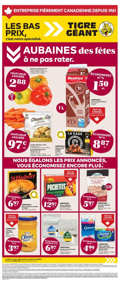 Tigre Géant Flyer November 5 to 11