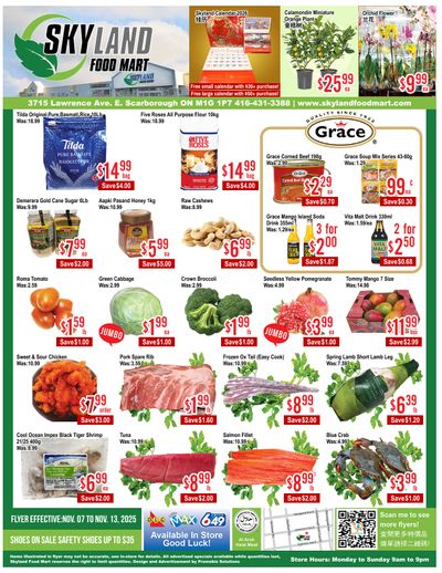 Skyland Food Mart Flyer November 7 to 13