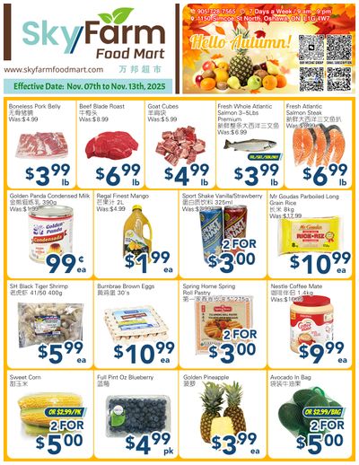 SkyFarm Food Mart Flyer November 7 to 13