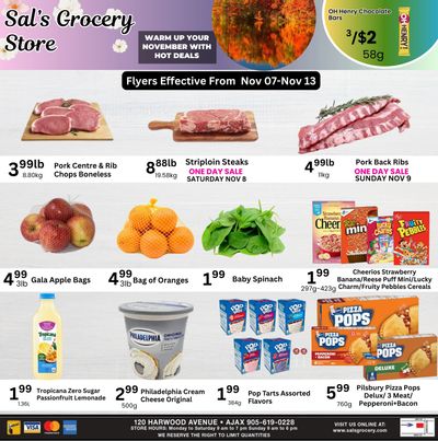 Sal's Grocery Flyer November 7 to 13