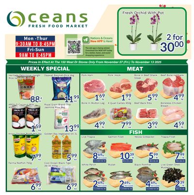 Oceans Fresh Food Market (Brampton) Flyer November 7 to 13