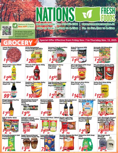 Nations Fresh Foods (Brampton) Flyer November 7 to 13
