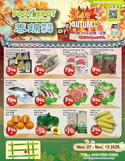 Food Depot Supermarket Flyer November 7 to 13