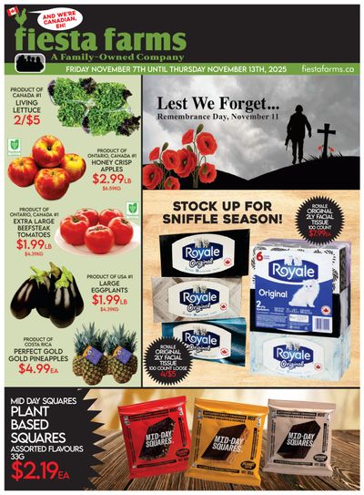 Fiesta Farms Flyer November 7 to 13