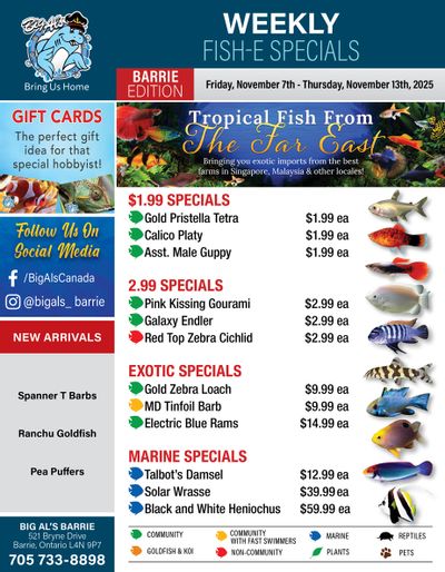 Big Al's (Barrie) Weekly Specials November 7 to 13