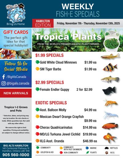Big Al's (Hamilton) Weekly Specials November 7 to 13