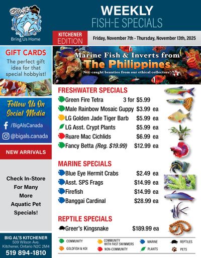 Big Al's (Kitchener) Weekly Specials November 7 to 13