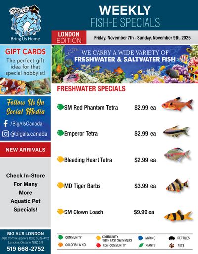 Big Al's (London) Weekend Specials November 7 to 9