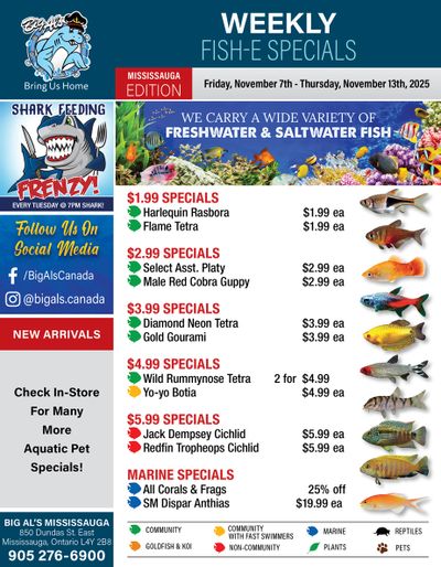 Big Al's (Mississauga) Weekly Specials November 7 to 13