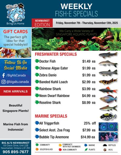 Big Al's (Newmarket) Weekly Specials November 7 to 13