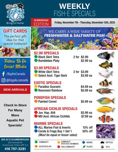 Big Al's (Scarborough) Weekly Specials November 7 to 13