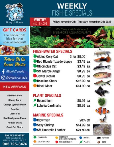 Big Al's (Whitby) Weekly Specials November 7 to 13