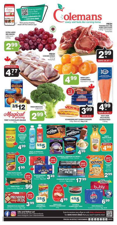 Coleman's Flyer November 13 to 19