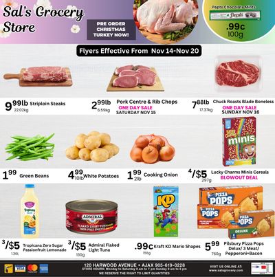 Sal's Grocery Flyer November 14 to 20