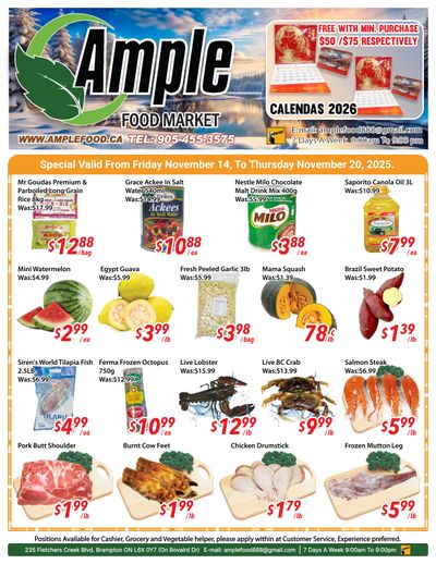 Ample Food Market (Brampton) Flyer November 14 to 20