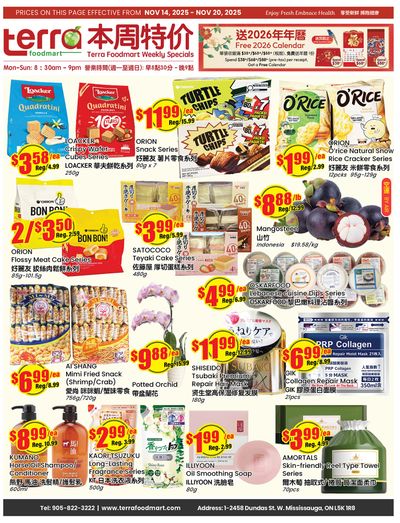 Terra Foodmart Flyer November 14 to 20