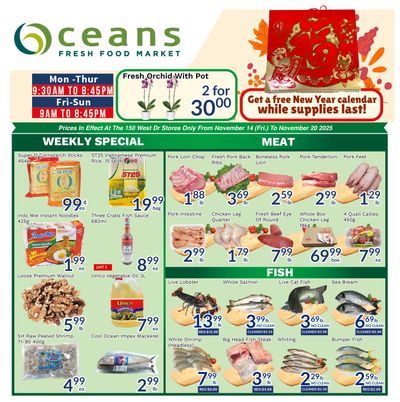 Oceans Fresh Food Market (Brampton) Flyer November 14 to 20