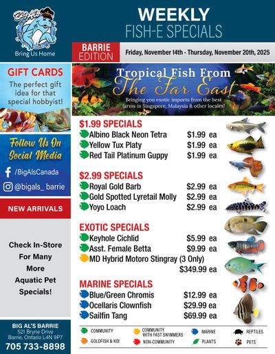 Big Al's (Barrie) Weekly Specials November 14 to 20