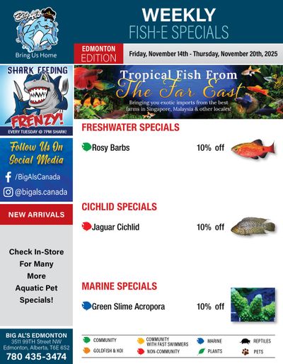 Big Al's (Edmonton) Weekly Specials November 14 to 20