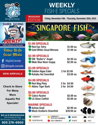 Big Al's (Mississauga) Weekly Specials November 14 to 20