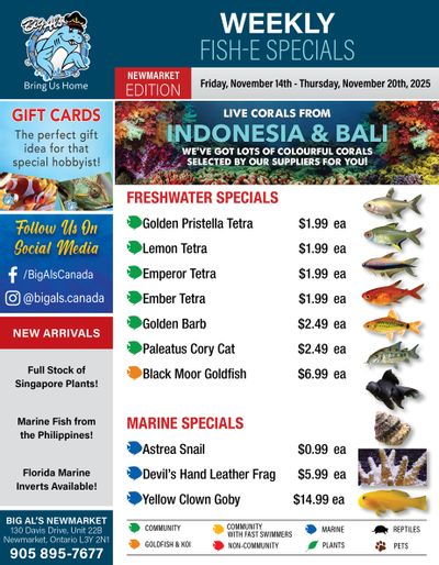 Big Al's (Newmarket) Weekly Specials November 14 to 20