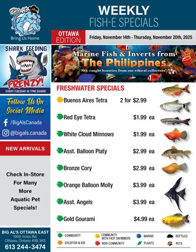 Big Al's (Ottawa) Weekly Specials November 14 to 20