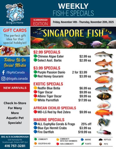 Big Al's (Scarborough) Weekly Specials November 14 to 20