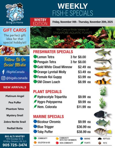 Big Al's (Whitby) Weekly Specials November 14 to 20