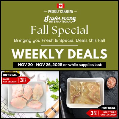 Basha Foods International Flyer November 20 to 26