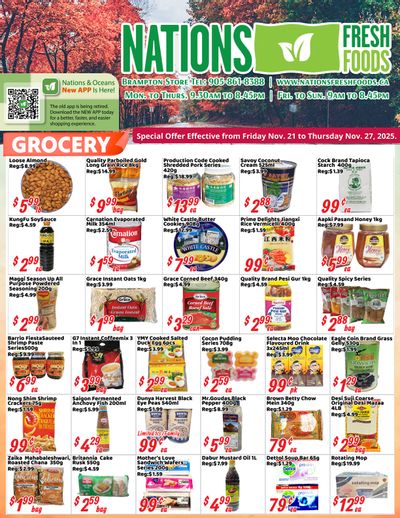 Nations Fresh Foods (Brampton) Flyer November 21 to 27