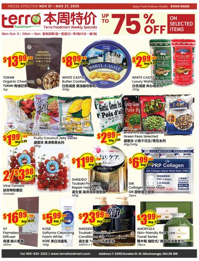 Terra Foodmart Flyer November 21 to 27