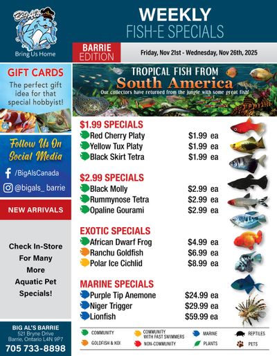 Big Al's (Barrie) Weekly Specials November 21 to 27