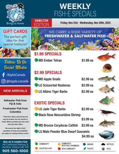 Big Al's (Hamilton) Weekly Specials November 21 to 27