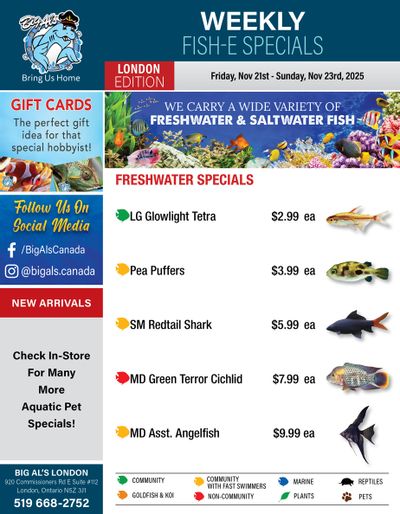 Big Al's (London) Weekend Specials November 21 to 23
