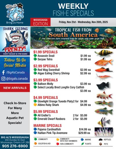 Big Al's (Mississauga) Weekly Specials November 21 to 27