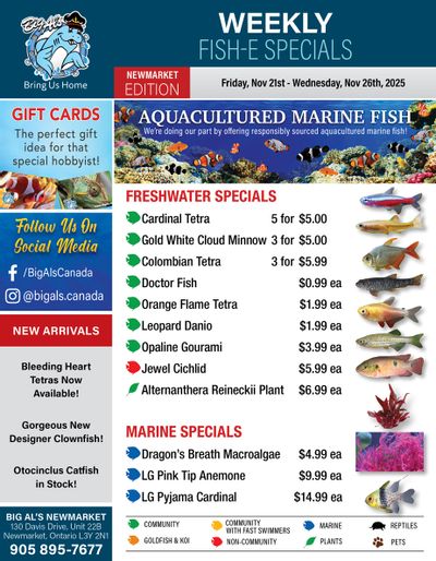 Big Al's (Newmarket) Weekly Specials November 21 to 27