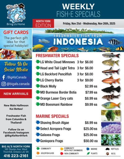 Big Al's (North York) Weekly Specials November 21 to 27