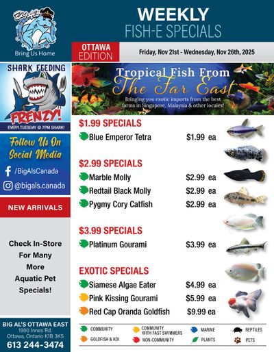 Big Al's (Ottawa) Weekly Specials November 21 to 27