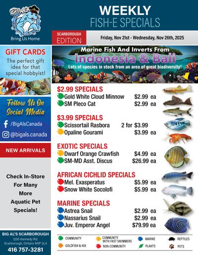 Big Al's (Scarborough) Weekly Specials November 21 to 27
