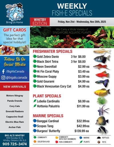 Big Al's (Whitby) Weekly Specials November 21 to 27