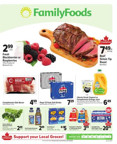 Family Foods Flyer November 27 to December 3