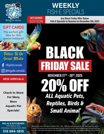 Big Al's (Kitchener) Black Friday Sale November 27 to 30