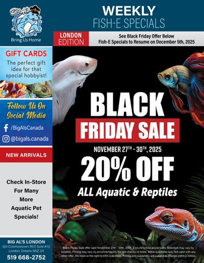 Big Al's (London) Black Friday Sale November 27 to 30