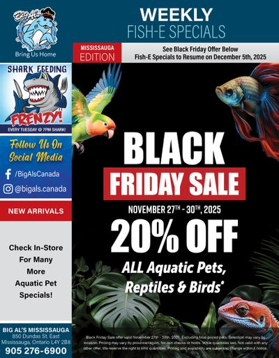 Big Al's (Mississauga) Black Friday Sale November 27 to 30
