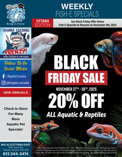 Big Al's (Ottawa) Black Friday Sale November 27 to 30