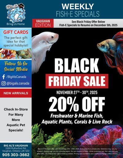 Big Al's (Vaughan) Black Friday Sale November 27 to 30
