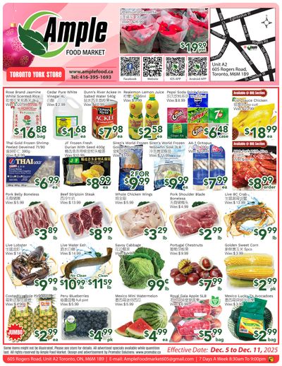 Ample Food Market (North York) Flyer December 5 to 11